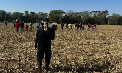 justica-impede-funai-de-distribuir-lona-a-indigenas-de-ocupacao-no-pr