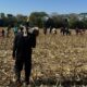 justica-impede-funai-de-distribuir-lona-a-indigenas-de-ocupacao-no-pr