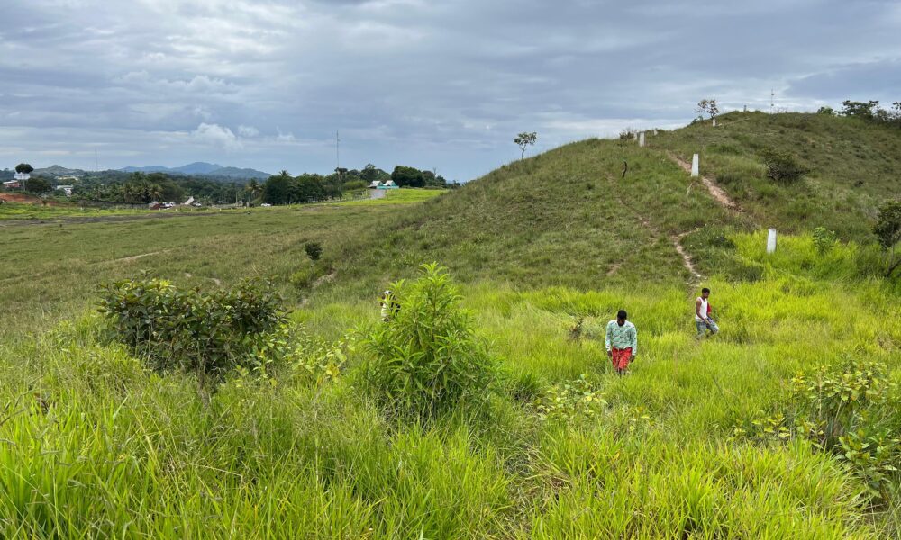 com-fronteira-fechada-na-vespera-da-eleicao,-migrantes-da-venezuela-entram-no-brasil-por-rotas-clandestinas
