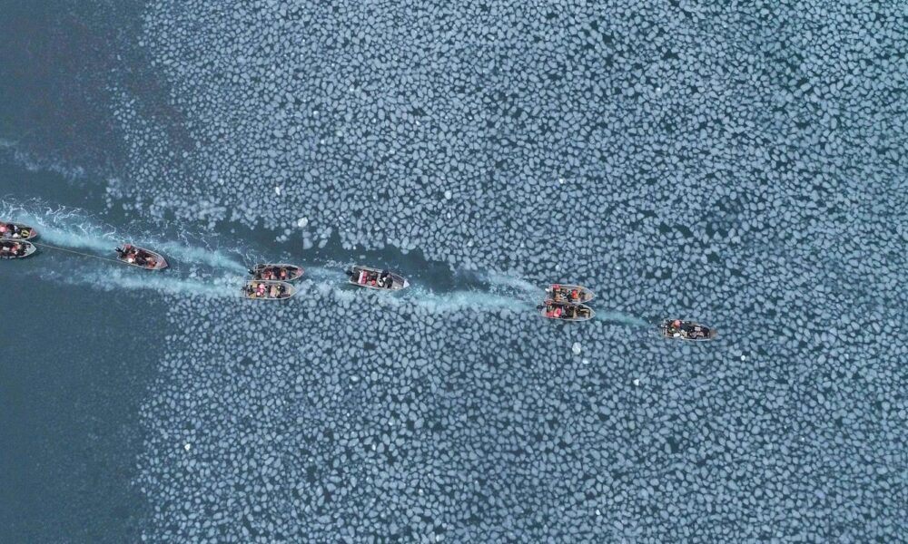 mostra-ecofalante-apresenta-122-filmes-a-partir-de-quinta-feira