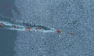 mostra-ecofalante-apresenta-122-filmes-a-partir-de-quinta-feira