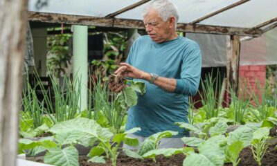 agricultura-familiar-setor-responsavel-por-parte-da-alimentacao-e-economia-do-estado-tem-dia-reconhecido-por-lei-aprovada-na-ale-rr-|-ale-rr-|-assembleia-legislativa-de-roraima