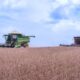com-investimentos-e-trabalho-efetivo-do-governo,-roraima-tera-safra-produtiva-–-governo-de-roraima