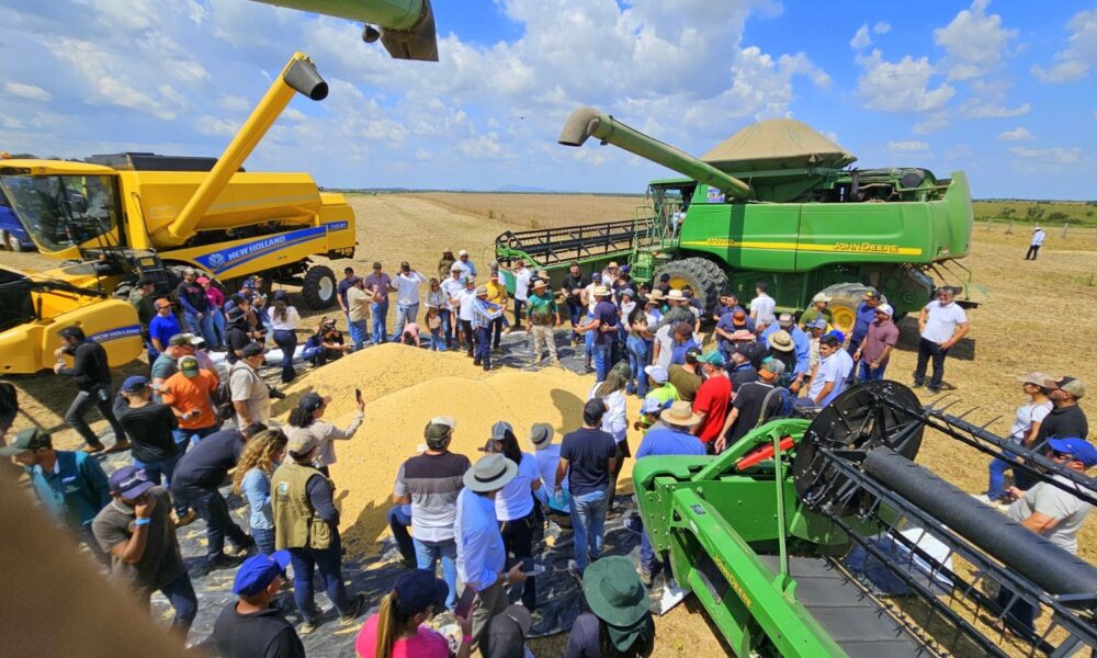 roraima-celebra-colheita-da-soja-com-foco-no-desenvolvimento-agricola-e-sustentavel-–-governo-de-roraima