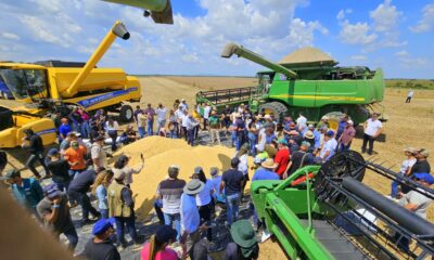 roraima-celebra-colheita-da-soja-com-foco-no-desenvolvimento-agricola-e-sustentavel-–-governo-de-roraima