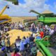 roraima-celebra-colheita-da-soja-com-foco-no-desenvolvimento-agricola-e-sustentavel-–-governo-de-roraima
