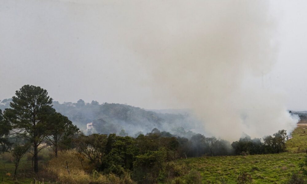 sobe-para-dez-numero-de-presos-por-queimadas-em-sao-paulo