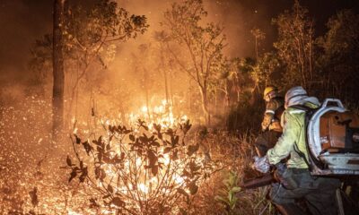 brasil-teve-11,39-milhoes-de-hectares-atingidos-pelo-fogo-este-ano