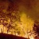 bombeiros-combatem-mais-de-330-incendios-no-estado-do-rio