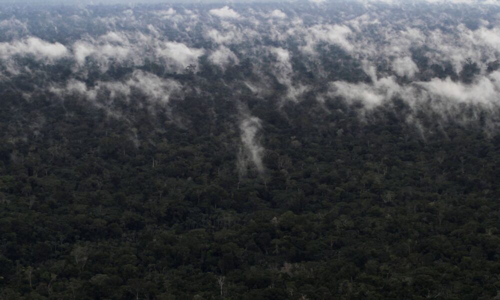 emissao-de-gases-do-efeito-estufa-por-queimadas-na-amazonia-cresce-60%