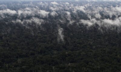 emissao-de-gases-do-efeito-estufa-por-queimadas-na-amazonia-cresce-60%