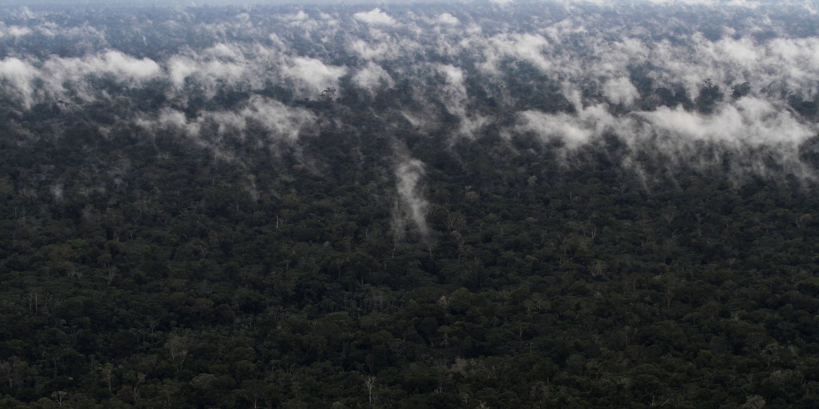 emissao-de-gases-do-efeito-estufa-por-queimadas-na-amazonia-cresce-60%