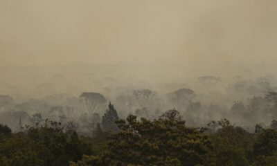 parque-de-brasilia:-fogo-vira-subterraneo-mas-pode-voltar-a-superficie
