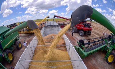 soja-segue-liderando-nas-exportacoes-em-roraima-–-governo-de-roraima