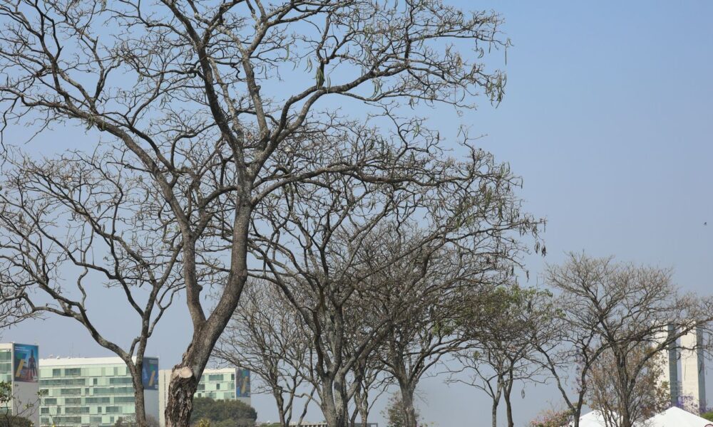 brasilia-atinge-recorde-historico-de-seca-nesta-sexta-feira