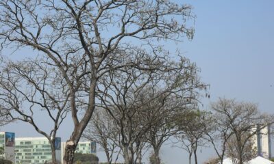 brasilia-atinge-recorde-historico-de-seca-nesta-sexta-feira