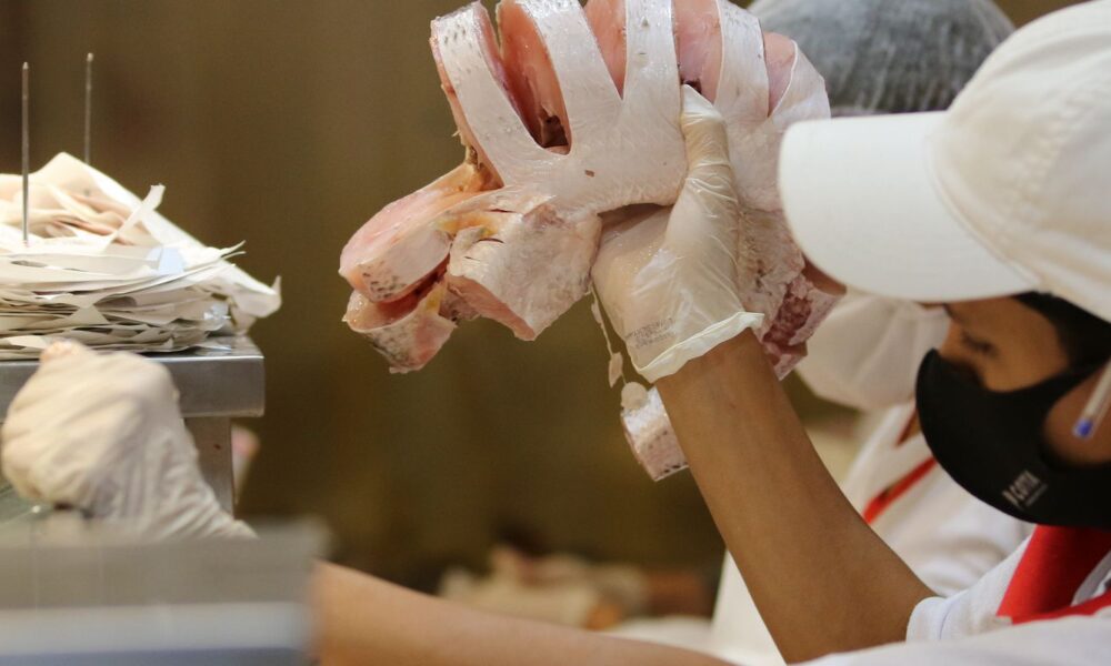 eua-diminuem-burocracia-para-comprar-pescados-brasileiros