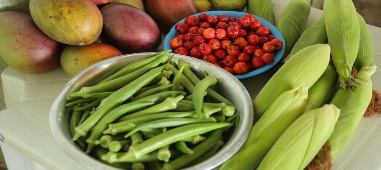 ‘parceiro-do-agro’-projeto-de-lei-aprovado-na-ale-rr-estimula-criacao-de-consorcio-intermunicipal-agropecuario-|-ale-rr-|-assembleia-legislativa-de-roraima