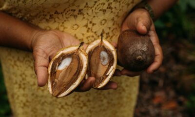 fundos-comunitarios-garantem-direitos-de-povos-tradicionais