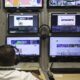 tv-brasil-comemora-17-anos-com-novidades-na-programacao
