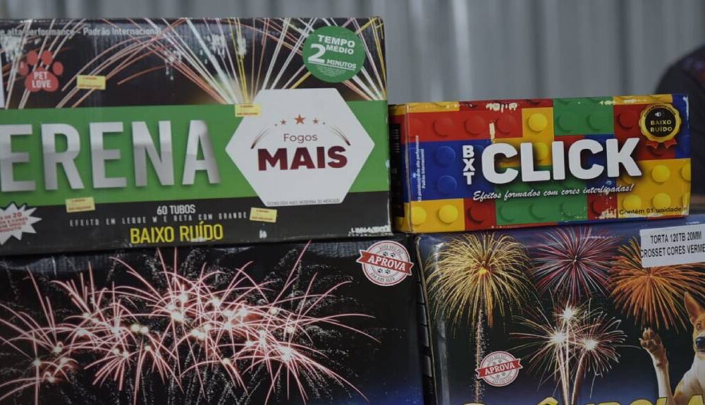 estampidos-deputados-alertam-sobre-os-perigos-e-a-proibicao-do-uso-de-fogos-de-artificio-em-roraima-|-ale-rr-|-assembleia-legislativa-de-roraima