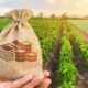 governo-lanca-edital-que-fomenta-pesquisas-para-desenvolvimento-agricola-sustentavel-em-roraima-–-governo-de-roraima