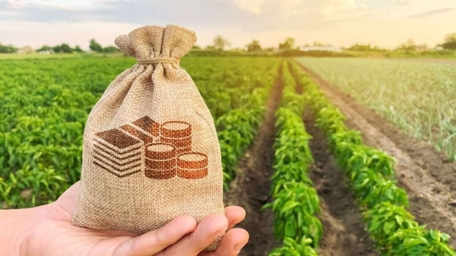 governo-lanca-edital-que-fomenta-pesquisas-para-desenvolvimento-agricola-sustentavel-em-roraima-–-governo-de-roraima