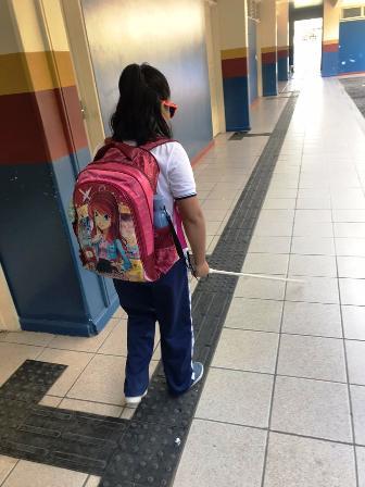 governo-de-roraima-garante-atendimento-especializado-para-alunos-com-necessidades-especiais-–-governo-de-roraima
