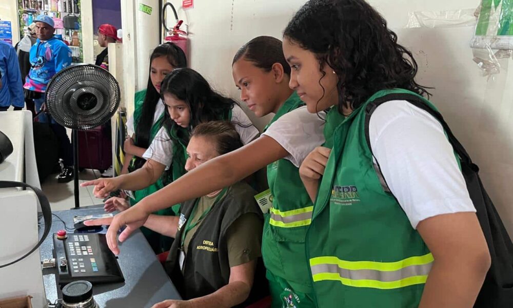 aderr-realiza-atividade-de-educacao-sanitaria-na-rodoviaria-internacional-de-boa-vista-–-governo-de-roraima