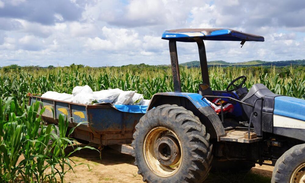 iater-comemora-3-anos-apoiando-a-agricultura-familiar-e-indigena-em-roraima -–-governo-de-roraima