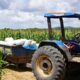 iater-comemora-3-anos-apoiando-a-agricultura-familiar-e-indigena-em-roraima -–-governo-de-roraima