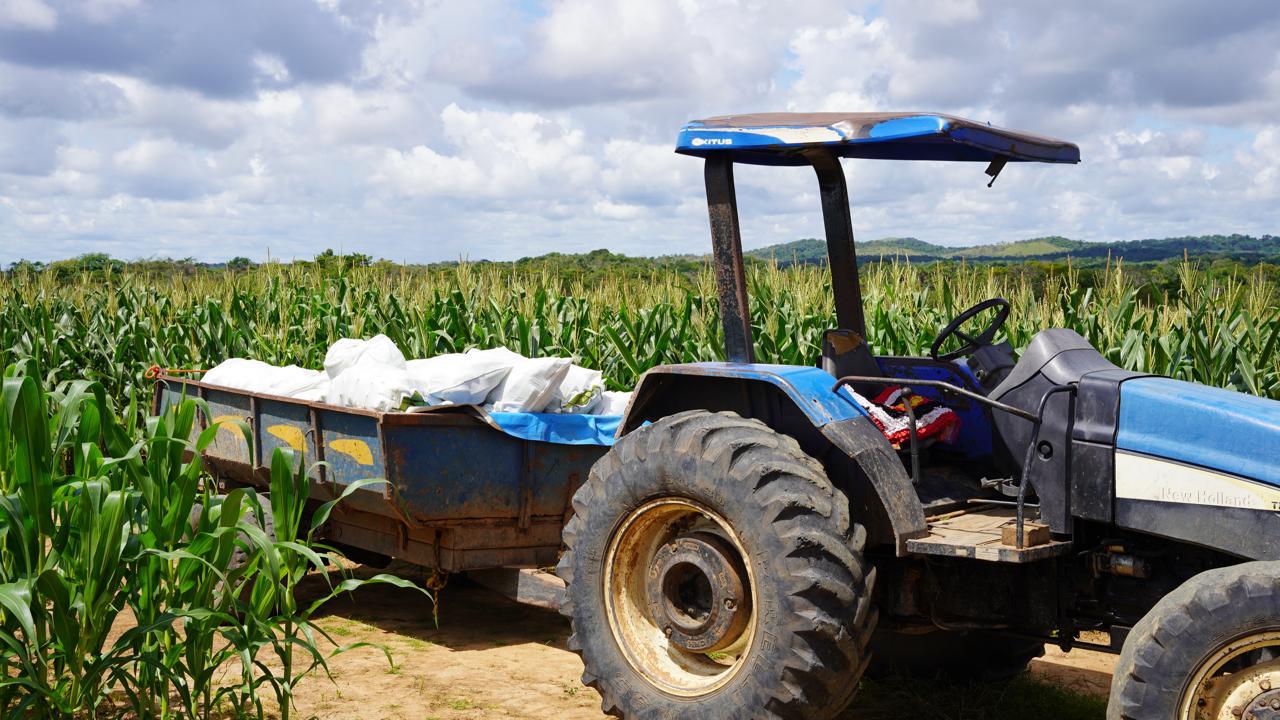 iater-comemora-3-anos-apoiando-a-agricultura-familiar-e-indigena-em-roraima -–-governo-de-roraima