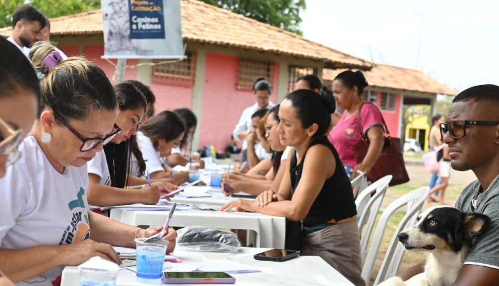 caes-e-gatos-ale-rr-inicia-cadastramento-para-castracao-gratuita-no-programa-do-bem-estar-animal-|-ale-rr-|-assembleia-legislativa-de-roraima