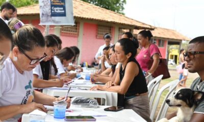 caes-e-gatos-ale-rr-inicia-cadastramento-para-castracao-gratuita-no-programa-do-bem-estar-animal-|-ale-rr-|-assembleia-legislativa-de-roraima