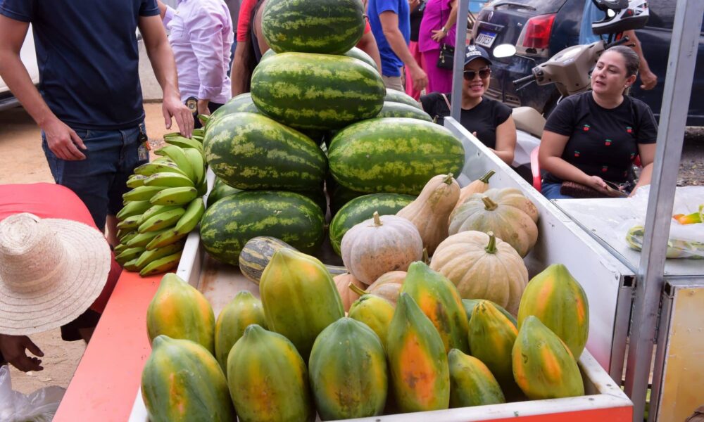 governo-de-roraima-inicia-execucao-do-paa-2025-para-fortalecer-a-agricultura-familiar-–-governo-de-roraima