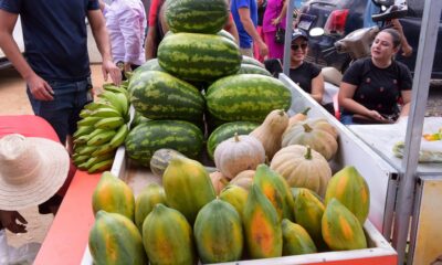 governo-de-roraima-inicia-execucao-do-paa-2025-para-fortalecer-a-agricultura-familiar-–-governo-de-roraima