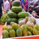 governo-de-roraima-inicia-execucao-do-paa-2025-para-fortalecer-a-agricultura-familiar-–-governo-de-roraima