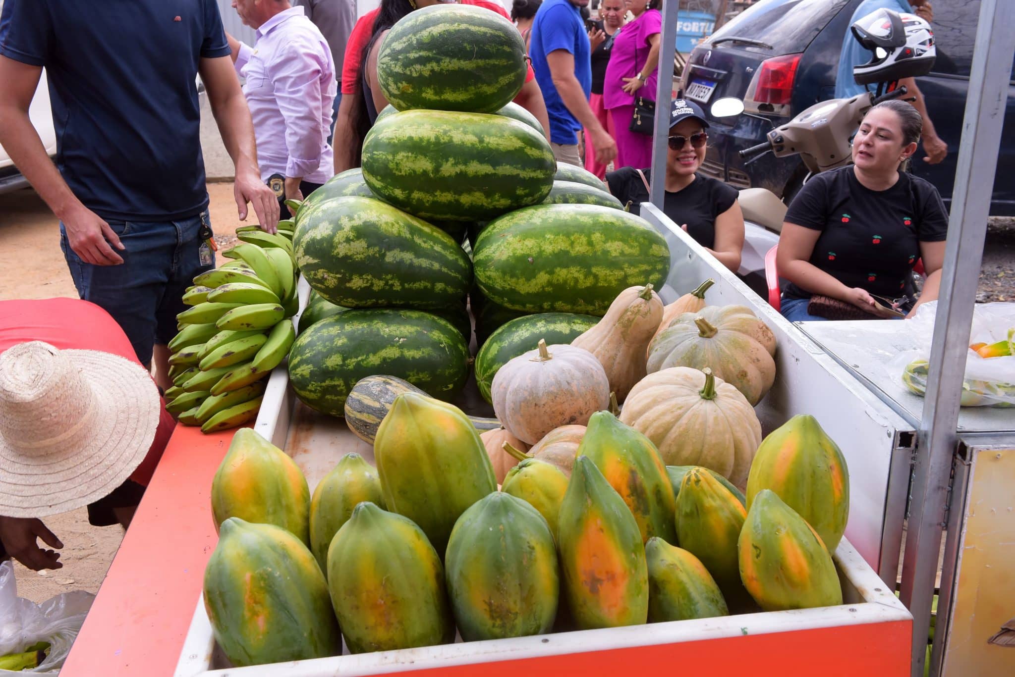 governo-de-roraima-inicia-execucao-do-paa-2025-para-fortalecer-a-agricultura-familiar-–-governo-de-roraima