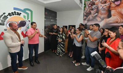 bem-estar-animal-ale-rr-lanca-programa-pioneiro-de-atendimento,-castracao-e-politicas-de-direitos-dos-animais-|-ale-rr-|-assembleia-legislativa-de-roraima