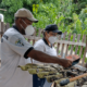 sesau-reforca-monitoramento-da-dengue-em-sao-joao-da-baliza-–-governo-de-roraima
