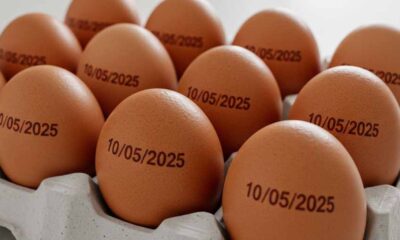 agricultura-suspende-determinacao-de-carimbar-data-de-validade-em-ovos