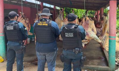 aderr-flagra-carcacas-de-animais-em-abate-clandestino-no-bonfim-–-governo-de-roraima