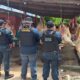 aderr-flagra-carcacas-de-animais-em-abate-clandestino-no-bonfim-–-governo-de-roraima