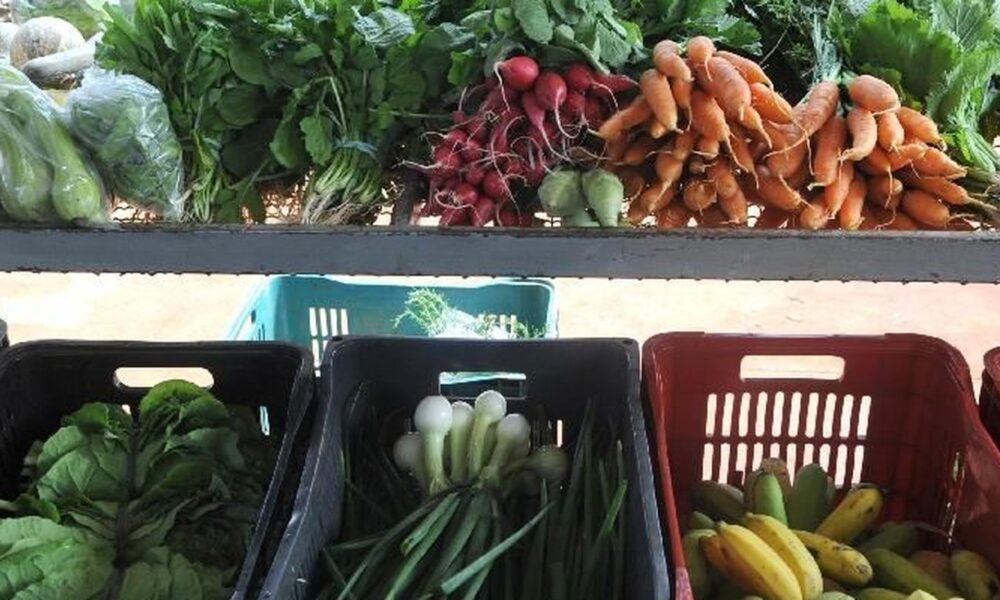 encontro-em-paris-busca-compromissos-politicos-por-alimentacao-global