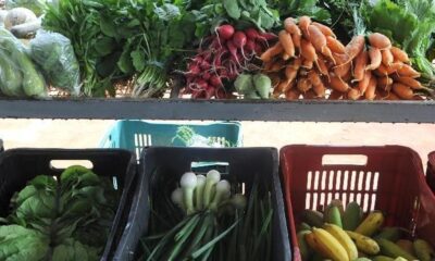 encontro-em-paris-busca-compromissos-politicos-por-alimentacao-global