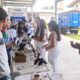 sesau-participa-de-mais-uma-edicao-do-saude-de-rua-–-governo-de-roraima