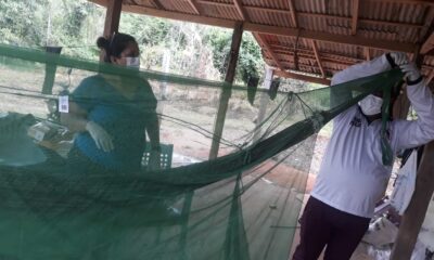 sesau-destaca-acoes-e-avancos-no-combate-a-malaria-em-roraima-–-governo-de-roraima
