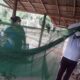 sesau-destaca-acoes-e-avancos-no-combate-a-malaria-em-roraima-–-governo-de-roraima