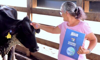 programa-do-governo-chega-a-mais-de-mil-novilhas-entregues-a-pequenos-pecuaristas-de-roraima-–-governo-de-roraima
