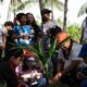 turistea-criancas-atendidas-pelo-teamarr-visitam-cultivo-do-acai-no-canta-|-ale-rr-|-assembleia-legislativa-de-roraima